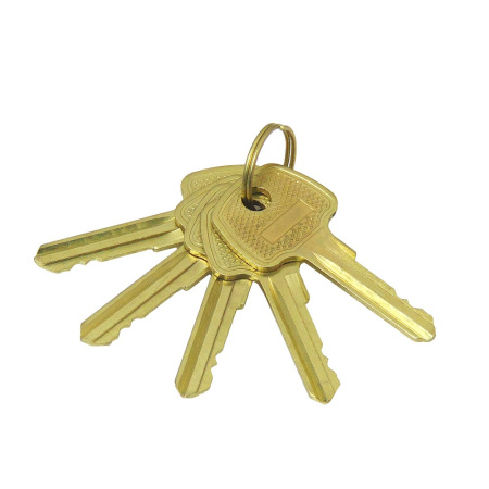 Накладной замок 603 круглые ригели, 3 анг. ключа 