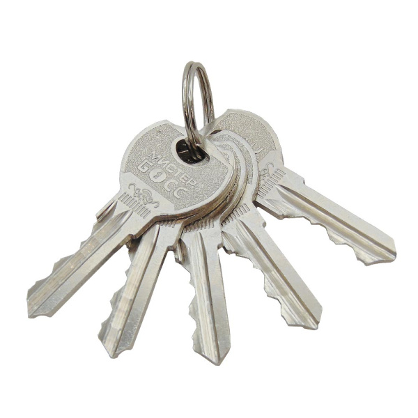 Цилиндровый механизм N60, тип: кл.-кл., 5 анг. кл., цвет: мат. никель (SN), Мистер Босс