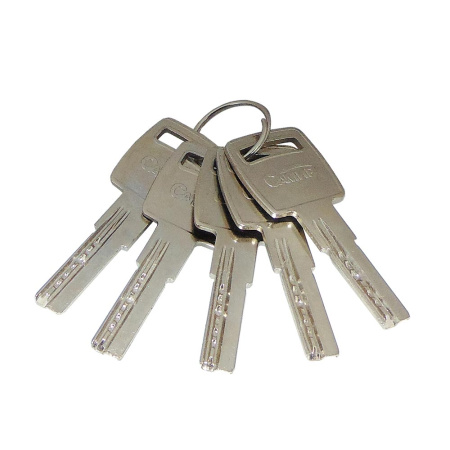 Цилиндровый механизм C100, тип: кл.-кл., 5 перфо кл., цвет: пол. латунь (PB), Самир-Цинк